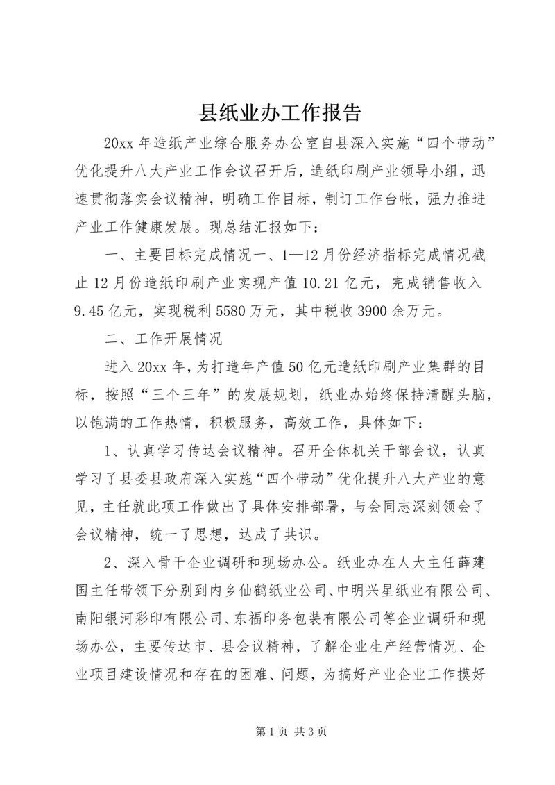 县纸业办工作报告.docx