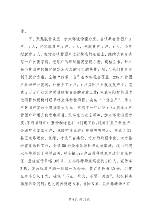 乡镇某年工作总结和某年工作安排.docx