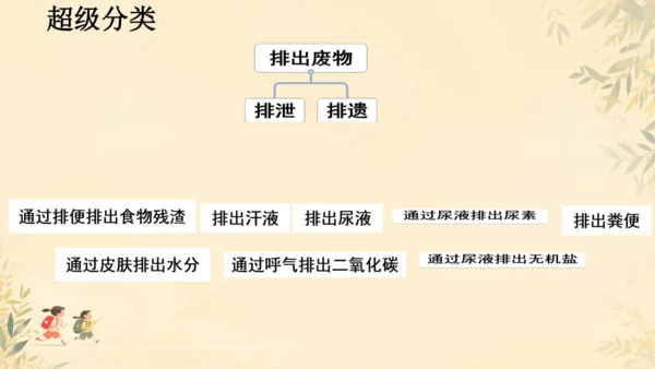 初中生物学人教版（新课程标准）七年级下册4.5 人体内废物的排出课件(共24张PPT)