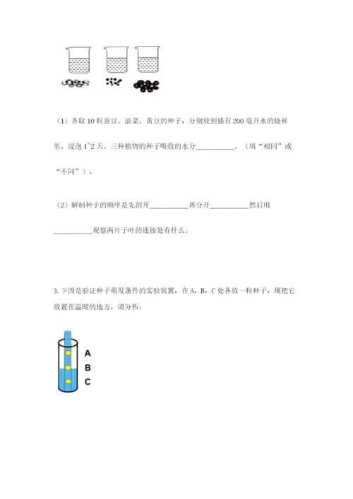 教科版四年级下册科学第一单元《植物的生长变化》测试卷【综合卷】.docx