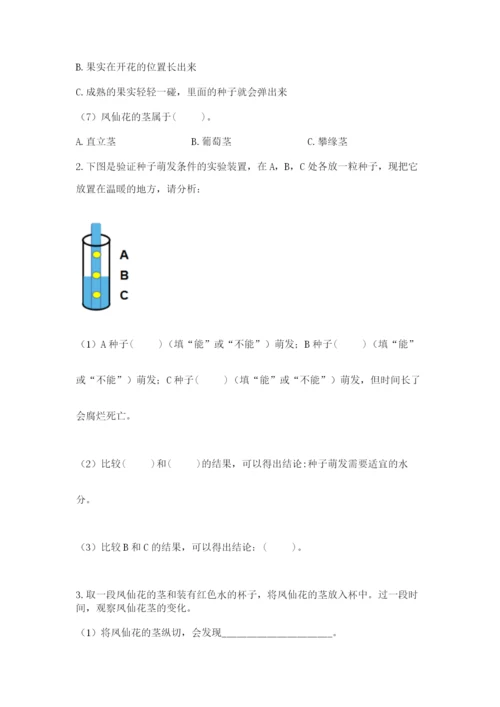 科学四年级下册第一单元植物的生长变化测试卷（综合题）.docx