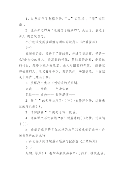 小升初语文阅读理解专项练习试题.docx