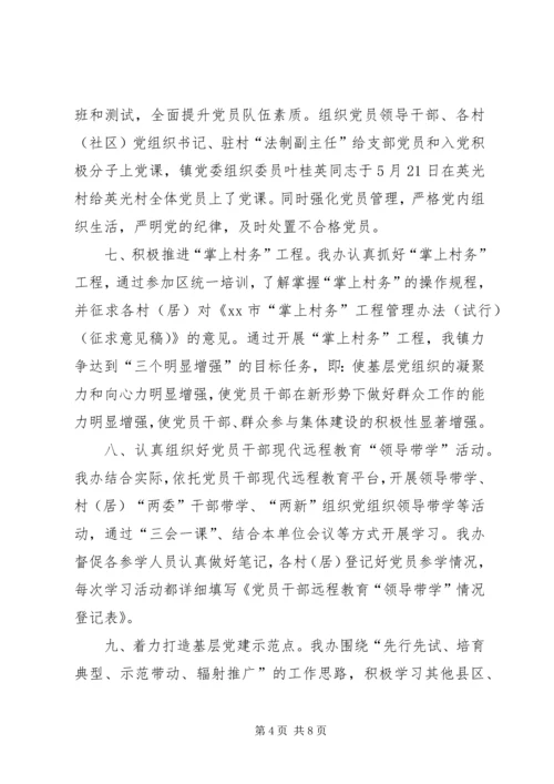 乡镇组织办上半年工作总结和工作计划.docx