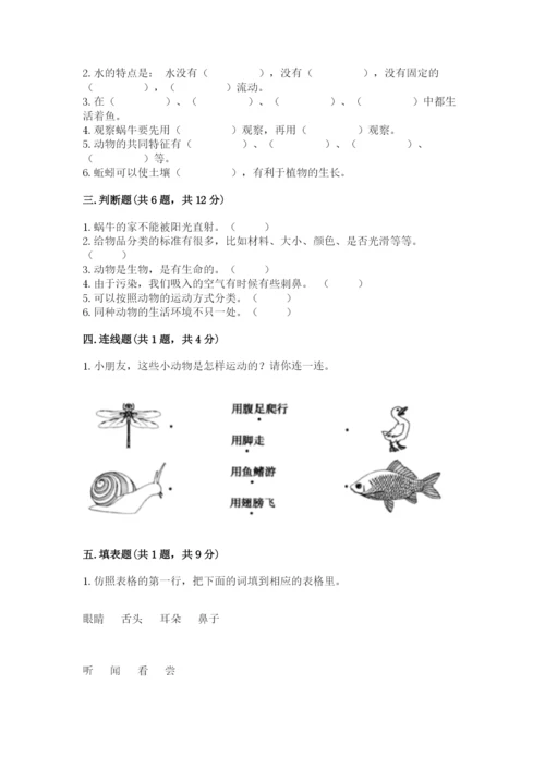 教科版一年级下册科学期末测试卷【网校专用】.docx