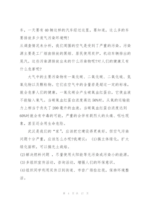 小学生社会调查报告范文10篇.docx