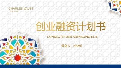 炫彩高端霸气创业融资计划书商业计划书PPT