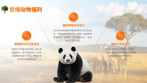 橙色世界动物日志愿者科普PPT模板