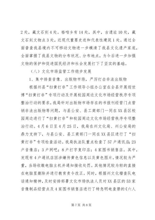 文体局XX年工作总结及下年工作计划.docx