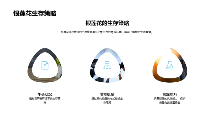 小寒之植物生存智慧