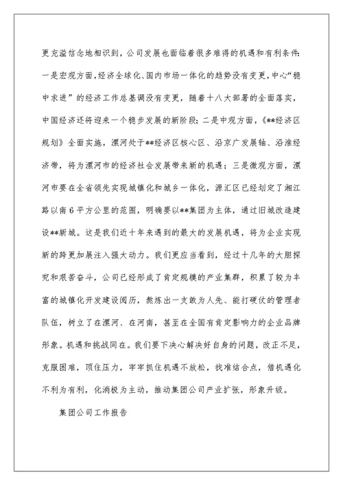 集团公司工作报告