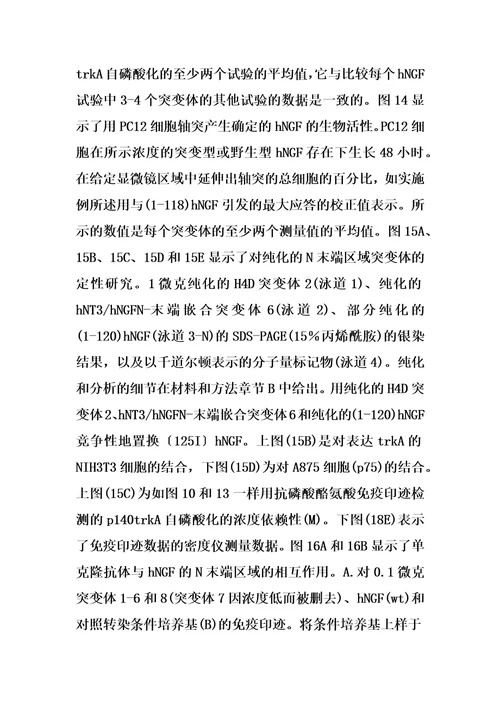 泛向神经营养因子的制作方法