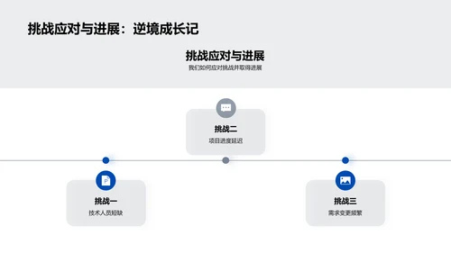 IT项目年度报告