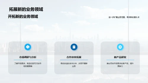 20XX年度绩效与挑战