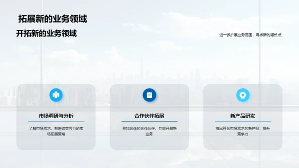 20XX年度绩效与挑战