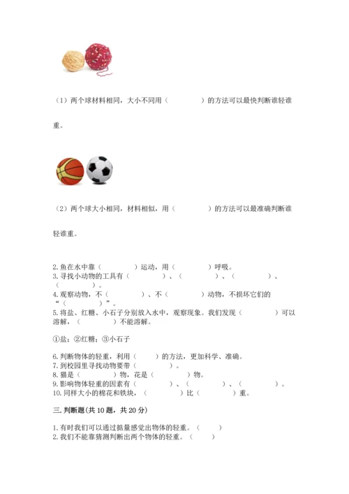 教科版一年级下册科学期末测试卷及参考答案（轻巧夺冠）.docx