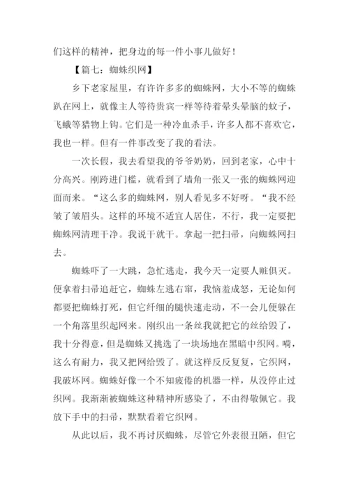 蜘蛛织网作文500字.docx