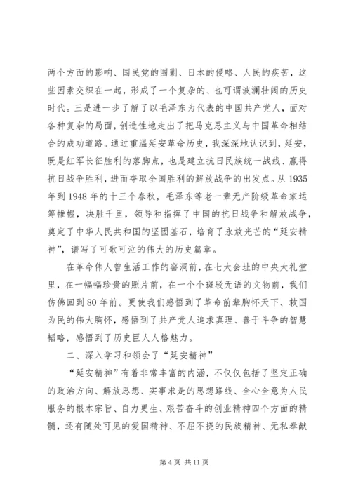 延安精神教育心得三篇.docx