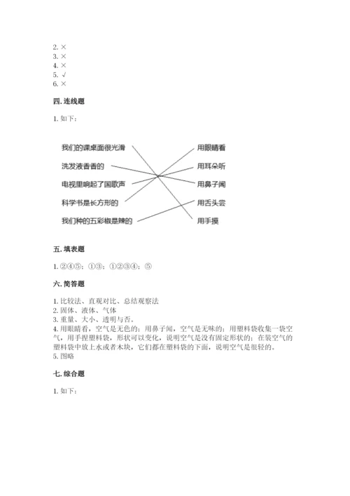 教科版小学科学一年级下册期末测试卷有精品答案.docx
