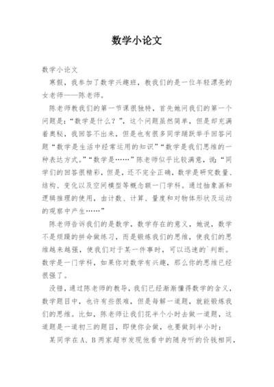 数学小论文编辑精选范文.docx