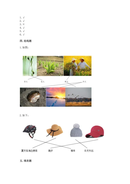 教科版二年级上册科学期末测试卷【典优】.docx