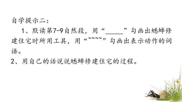 11 蟋蟀的住宅（课件）