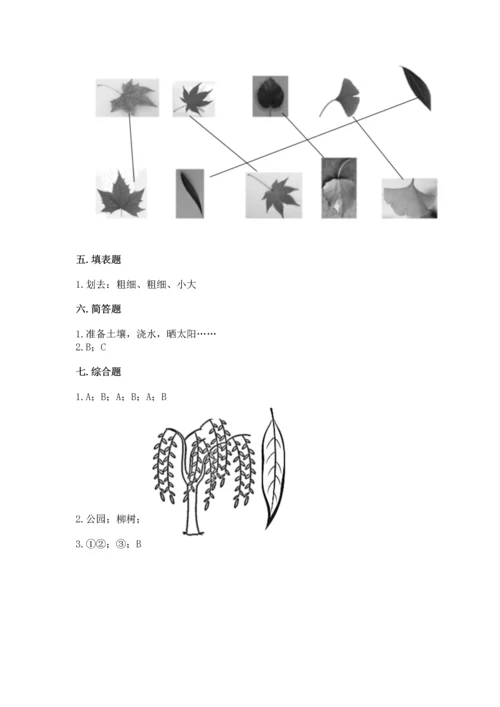 教科版科学一年级上册第一单元《植物》测试卷及答案【易错题】.docx