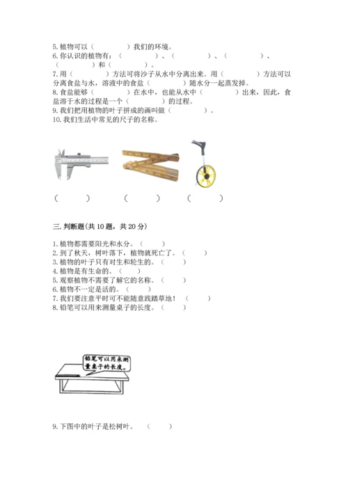 教科版一年级上册科学期末测试卷带答案（b卷）.docx