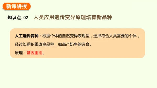 7.2.5生物的变异-八年级生物人教版下学期同步精品课件(共34张PPT)