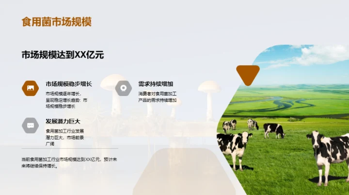 食用菌市场：全面解析