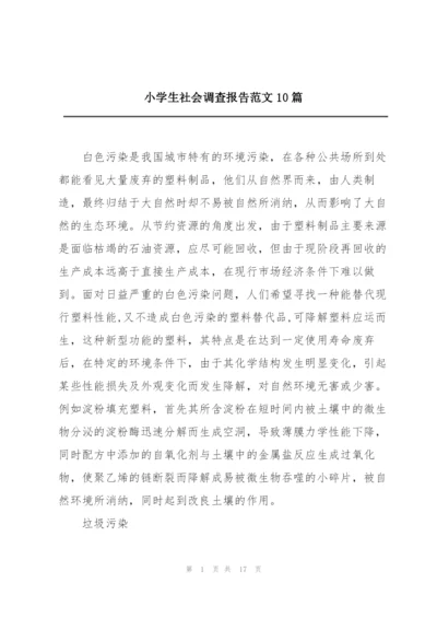 小学生社会调查报告范文10篇.docx
