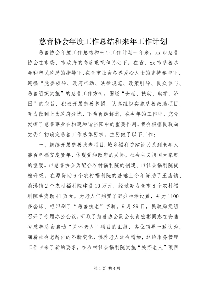 慈善协会年度工作总结和来年工作计划 (2).docx