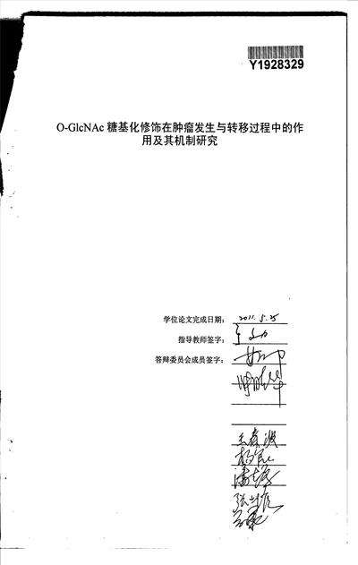 ac糖基化修饰在肿瘤发生与转移过程中的作用及其机制研究