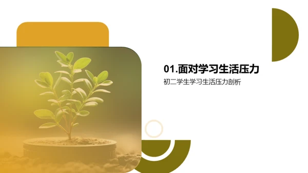 掌握自我管理，成就自我成长