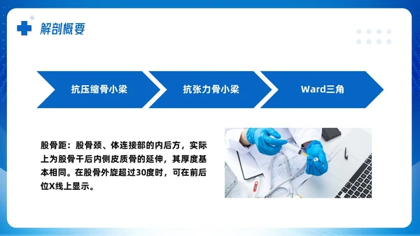 蓝色简约股骨颈骨折课件PPT模板宣传PPT动态PPT