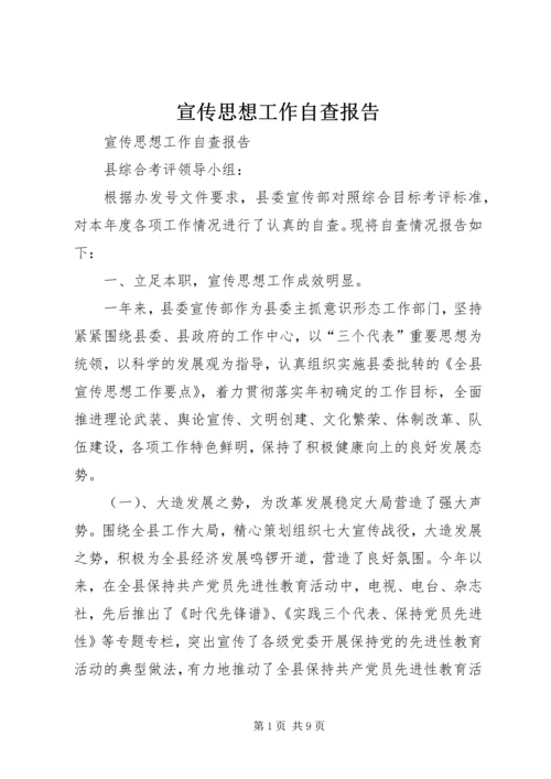 宣传思想工作自查报告 (2).docx