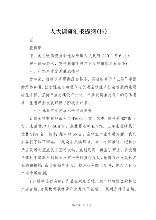 人大调研汇报提纲(精).docx