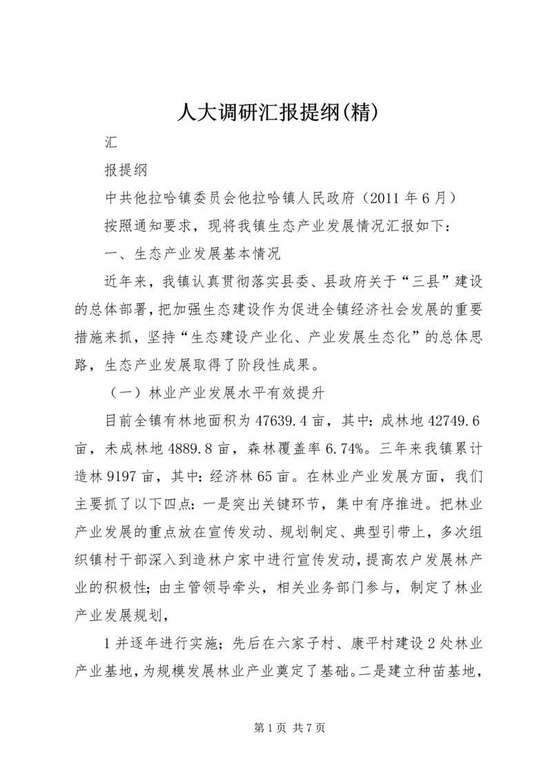 人大调研汇报提纲(精).docx