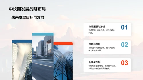 公司历程与前瞻
