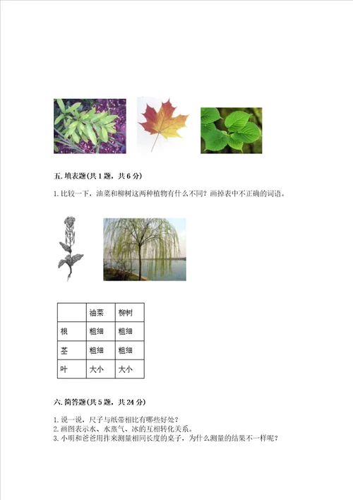 教科版科学一年级上册期末测试卷【名校卷】