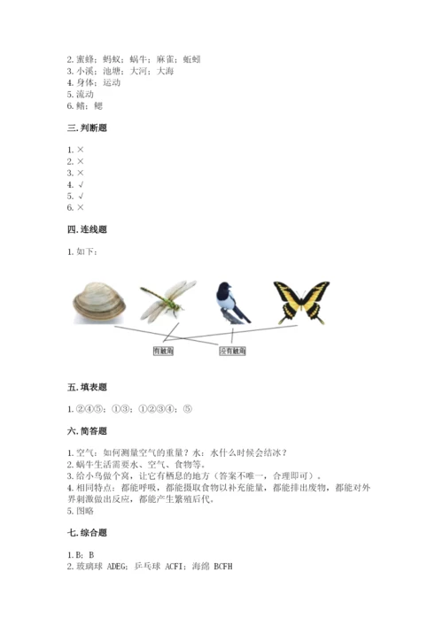 教科版小学科学一年级下册期末测试卷及参考答案【精练】.docx