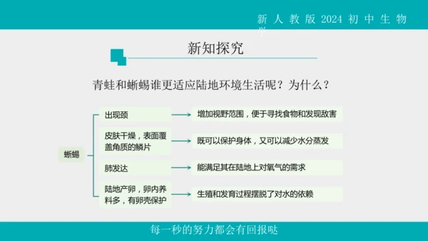 人教版生物七年级上册2.2.2《脊椎动物》（第1课时）课件(共42张PPT)+视频素材