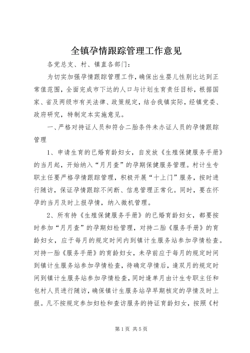 全镇孕情跟踪管理工作意见.docx