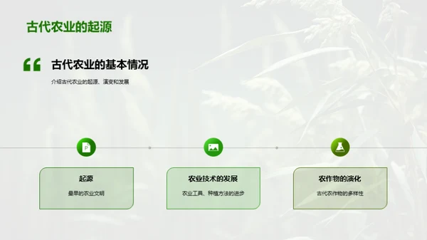 古代农业全面探索