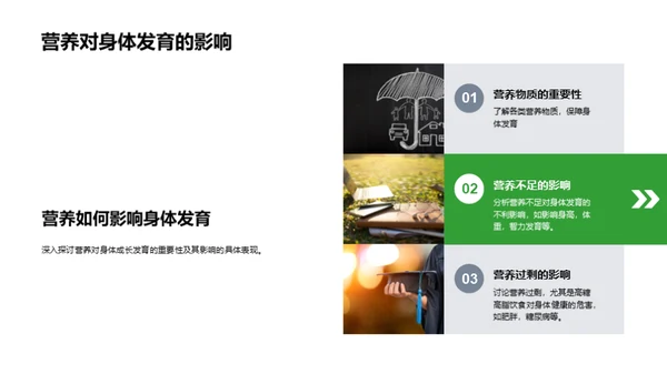 营养解析与健康饮食