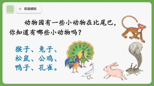 8《比尾巴》课件