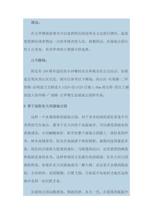 昆明湿地公园.docx