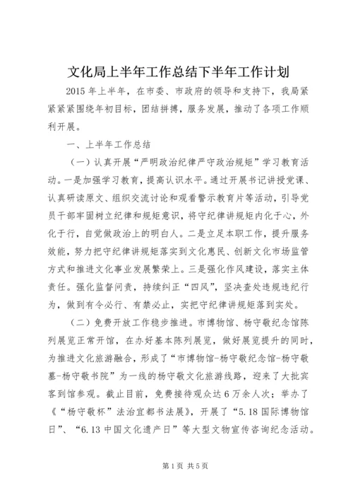 文化局上半年工作总结下半年工作计划.docx