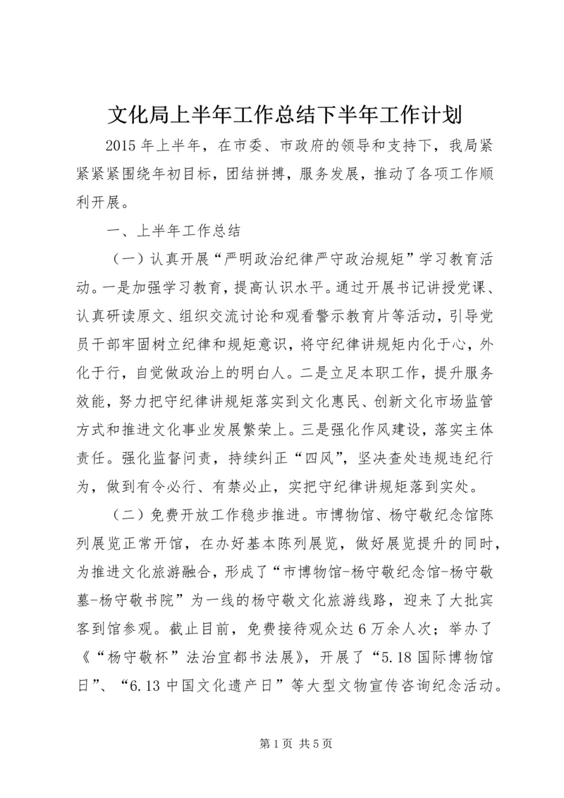 文化局上半年工作总结下半年工作计划.docx