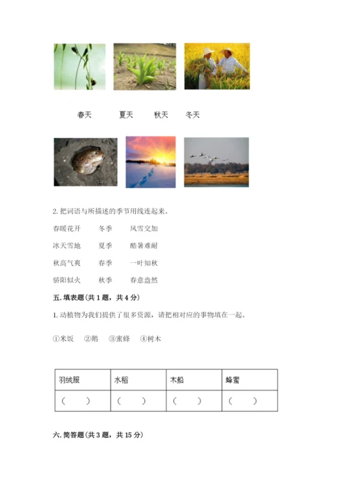 教科版小学二年级上册科学期末测试卷（名师系列）.docx