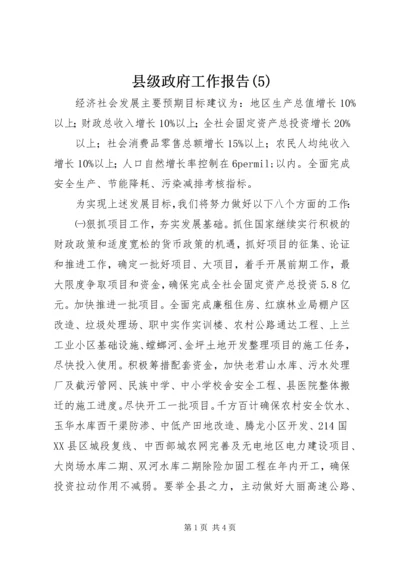 县级政府工作报告(5).docx
